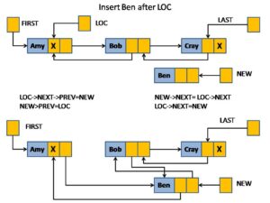 Insertion in doubly linked list - CSVeda