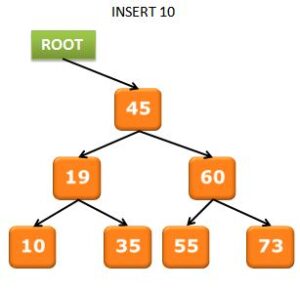 Binary Search Tree Insertion - CSVeda