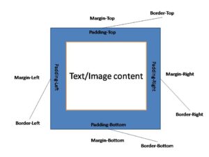 CSS Box Model - CSVeda